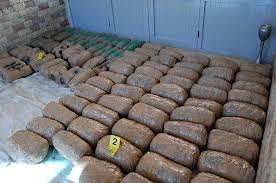 Greqi, kapen 730 kg marijuanë në kufi me Shqipërinë