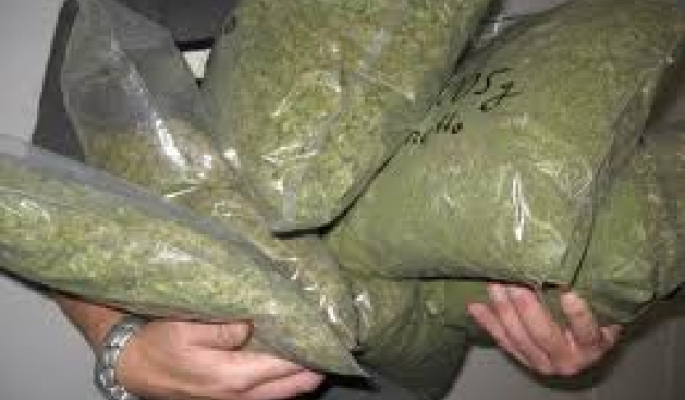 Kanabis drejt Ankonës, sekuestrohen 256 kg e 400 gr në portin e Durrësit