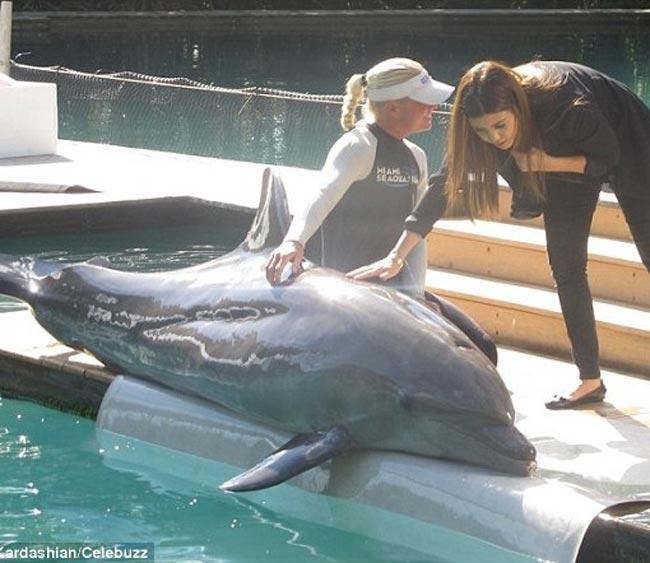 Kim, në një takim me delfinët
