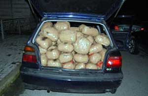 Greqi, kapen 115 kg drogë, arrestohen dy shqiptarë