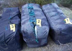 Sekuestrohen 300 kg marijuanë, 5 shqiptarë në pranga