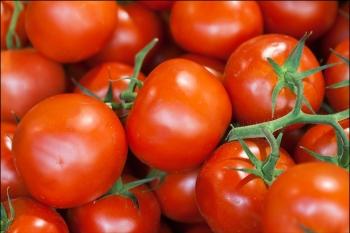 Efekti çudibërës i domates