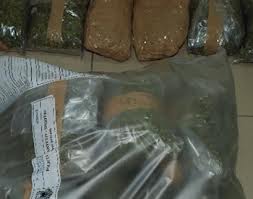 kapen 40 kg kanabis në një kamion, ndalohet shoferi