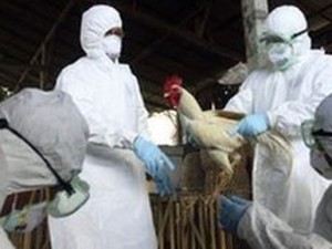 Rishfaqet gripi i shpendëve, një kosovare në gjendje të rëndë
