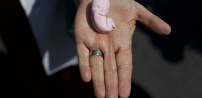 Në Shqipëri dhe në Kosovë e shkatërrojnë fetusin femëror