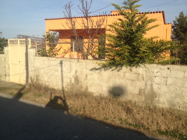 “Monstra” e Durrësit mbetet i vetëm, fëmijët braktisin Shqipërinë (FOTO)