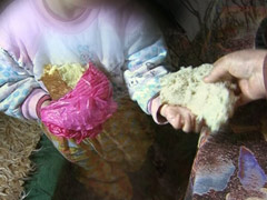 Familja në varfëri ekstreme: Ushqehemi me bukën thatë