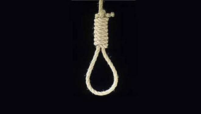 Dy vetvarje brenda 24 orëve