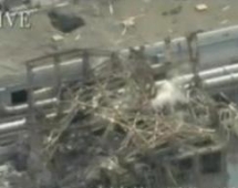 Rrëzohet ndërtesa e sallës së makinerive të reaktorit në Çernobil
