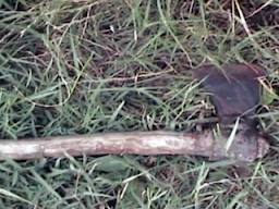 Bënin dru për shkollën, i pret aksidentalisht dorën shokut me sëpatë