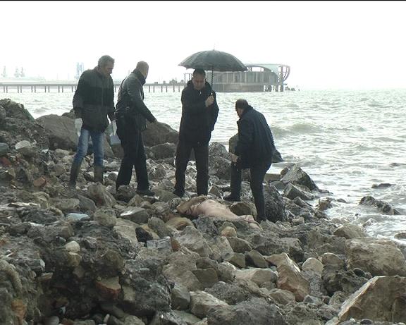 Durrës, identifikohet kufoma e gjetur në bregdetin e Currilave