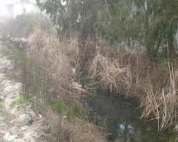 Rezultonte i zhdukur prej 5 ditësh, gjendet i vdekur