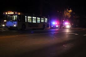 Vrasja e 22-vjecarit, në pranga një autor, tjetri në kërkim