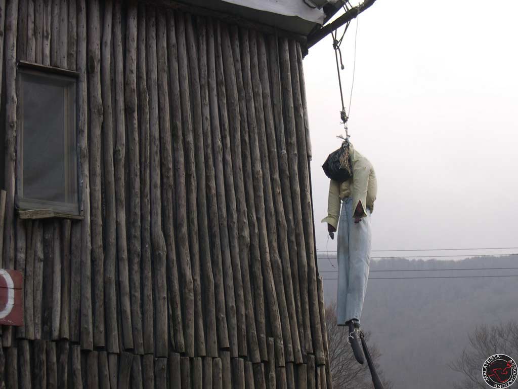 14 vjeçari i jep fund jetës duke u vetvarur