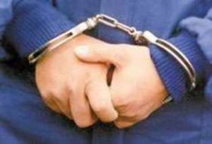 Vidhte linjën elektrike, arrestohet në flagrancë kryeplaku i fshatit