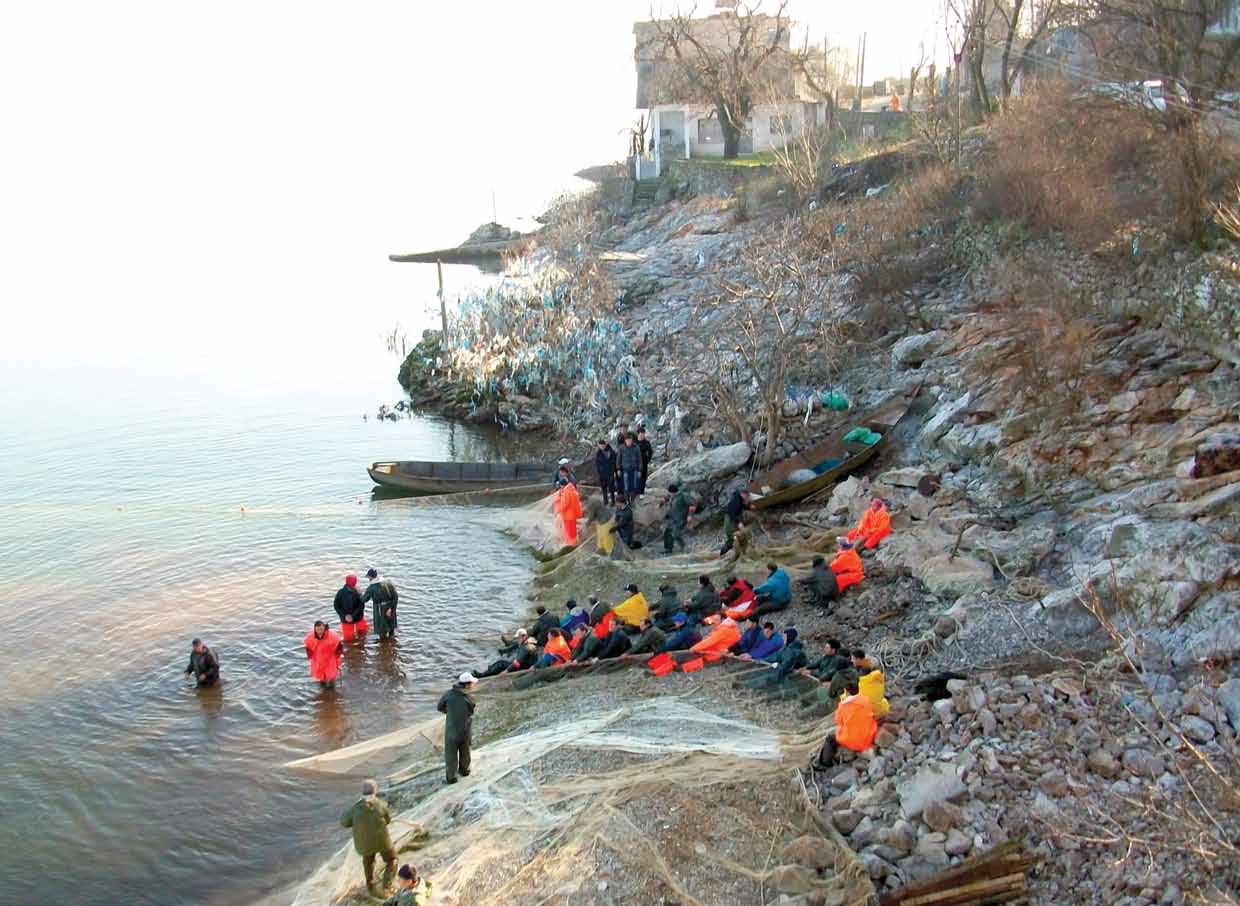 KE: Statistikat e peshkimit, të pabesueshme