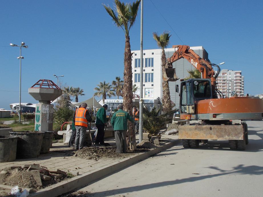 Mbillen dhjetëra palma në Shëtitoren Taulantia