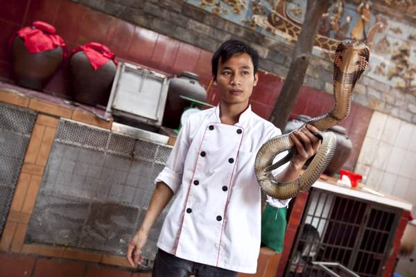 Restoranti i gjarpërinjve në Vietnam