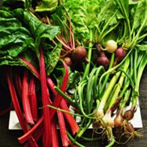 Katër ushqimet më të mira të muajit mars