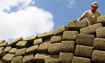 Arrestohet shqiptari, i kapen 150 kg drogë në portin e Barit