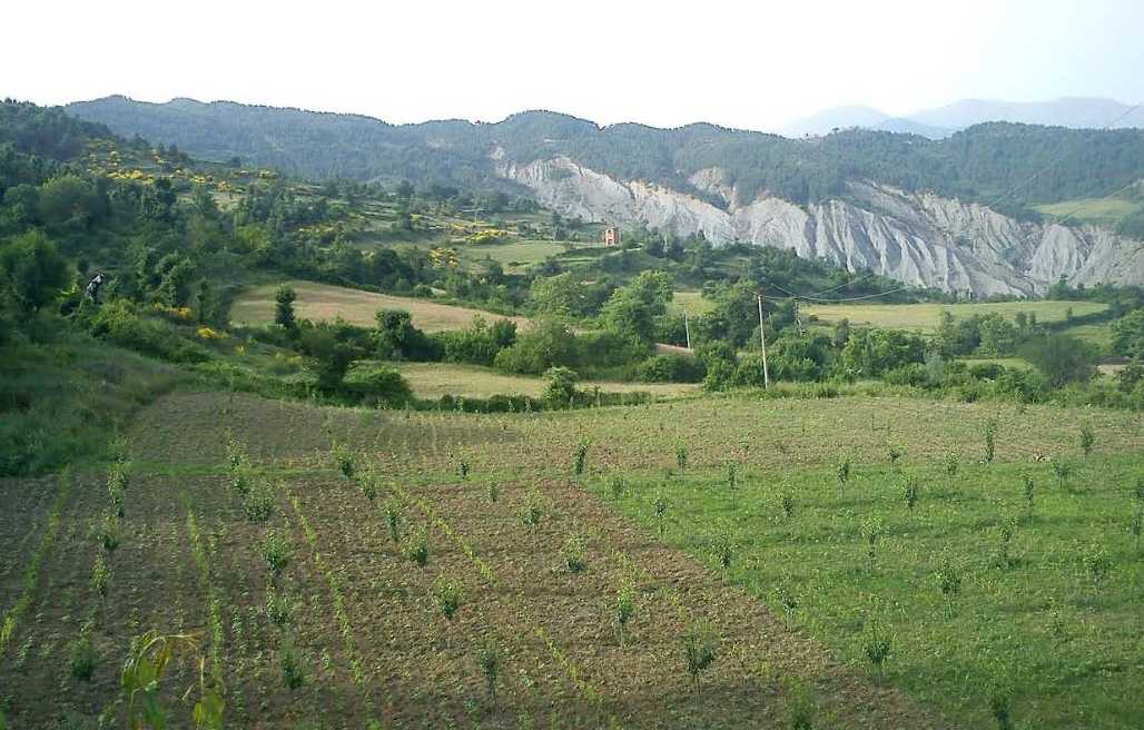 Pa rrugë dhe pa ujë/ Tre dekada pritje, banorët e këtij fshati apel për ndihmë