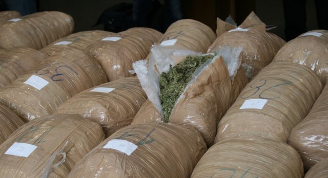 900 kg drogë drejt Italisë, kërkohen 53 vite burg për trafikantët