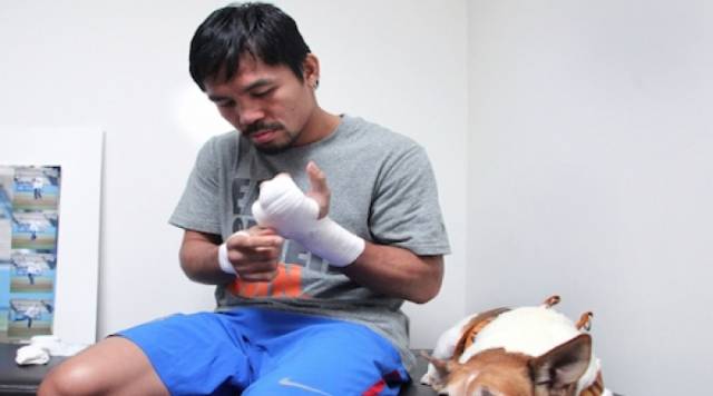 Rrëfimi tronditës i Pacquaios: U bëra boksier, kur babi më hëngri qenin!