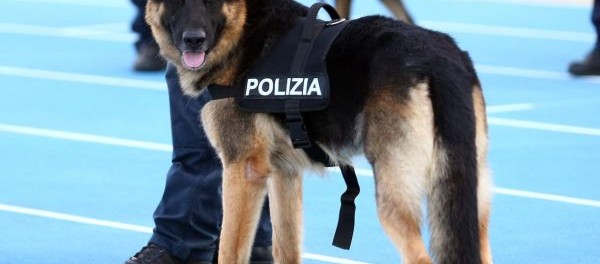 Itali, Avni Kasmi arrestohet me 1,1 kg kokainë
