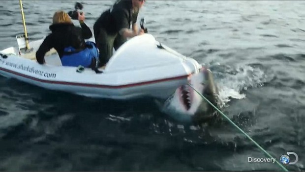 Peshkaqeni sulmon varkën e dy xhiruesve (Video)