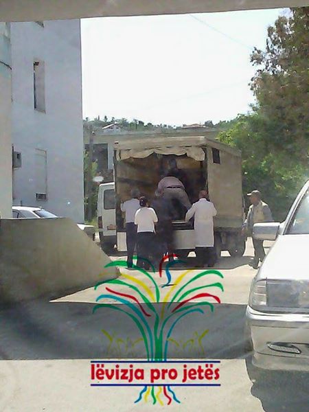 Skandali/ Në Lushnjë i sëmuri transportohet me kamion (Foto)