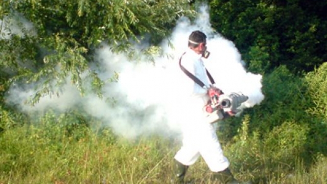 Pas Durrësit, nis dezinfektimi i mushkonjave dhe në Vlorë