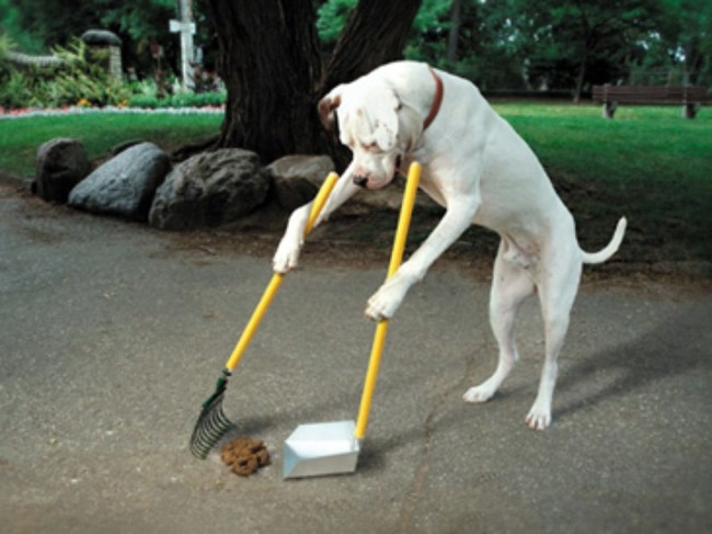 Fotografi që nuk ju lënë pa buzëqeshje