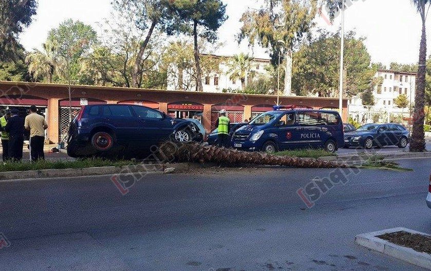 Durrës, makina shkul palmën nga vendi dhe i hyp sipër