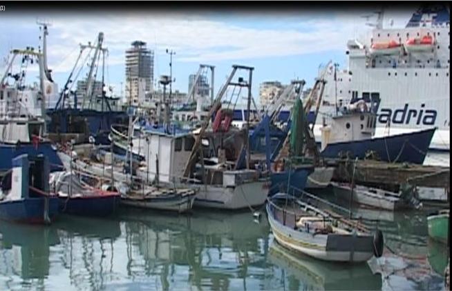 Kontrabandë me naftën për peshkim, shpallen dënimet për 13 persona (emrat)