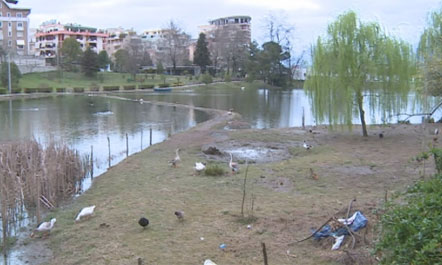 Erion Veliaj: Ja çfarë gjeta në Kopshtin Zoologjik…