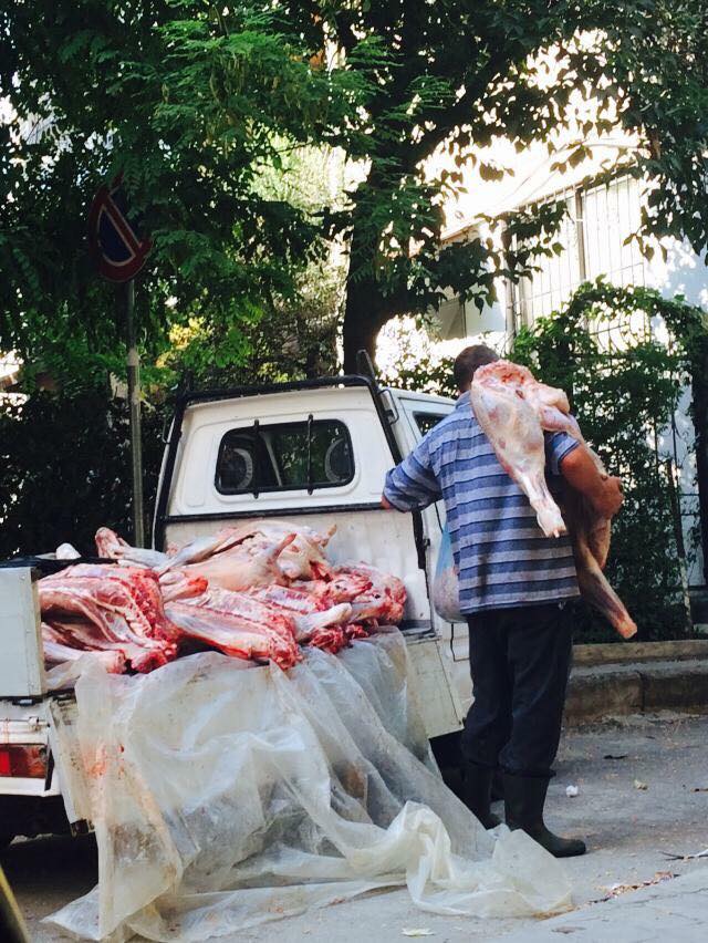 Fotolajm/ Shikoni çfarë mishi hamë