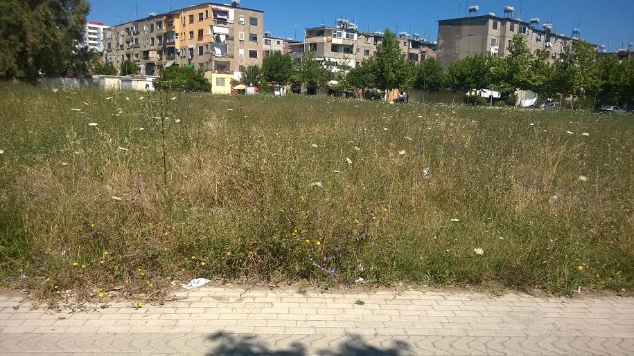 Terrenet sportive të Durrësit në degradim të plotë (Foto)