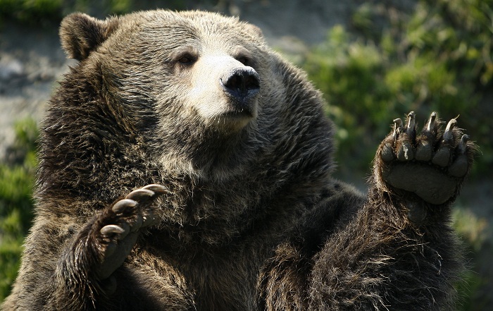 Ariu sulmon bariun 17 vjeç, në gjendje të rëndë