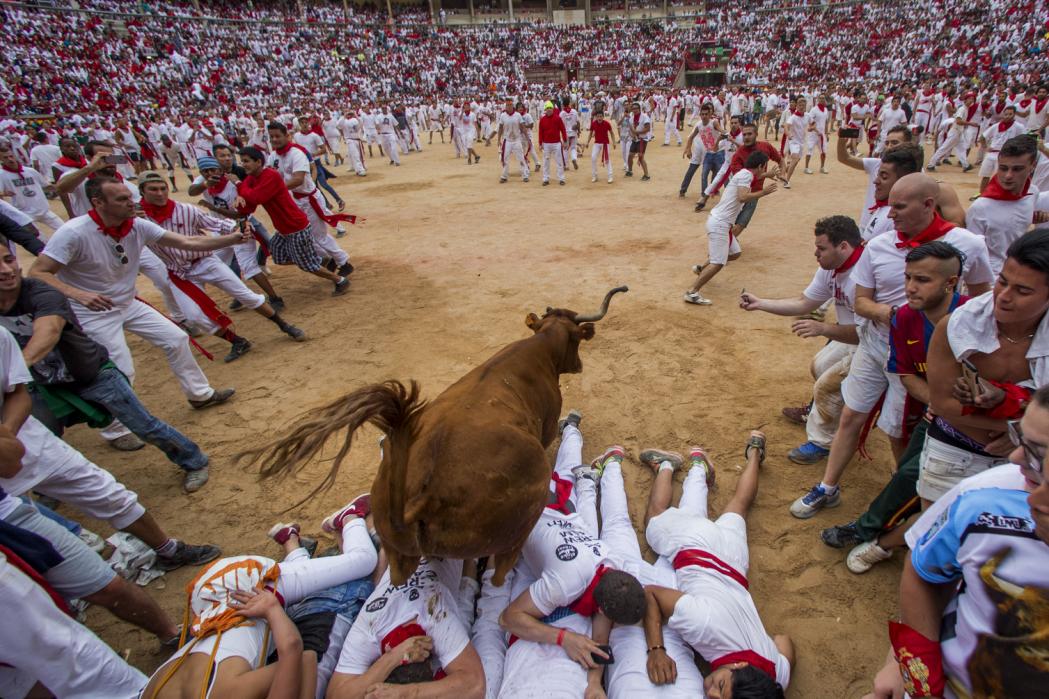 Fotografitë më të bukura të një dite