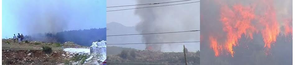 Krujë/ Zjarri përfshin rreth 30 ha pyje në Krastë