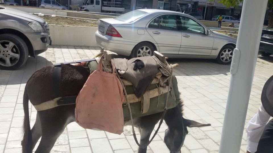 Osman Metalla ironi për qendrën e Shijakut: Parkim edhe për mjete pa motor…(foto)