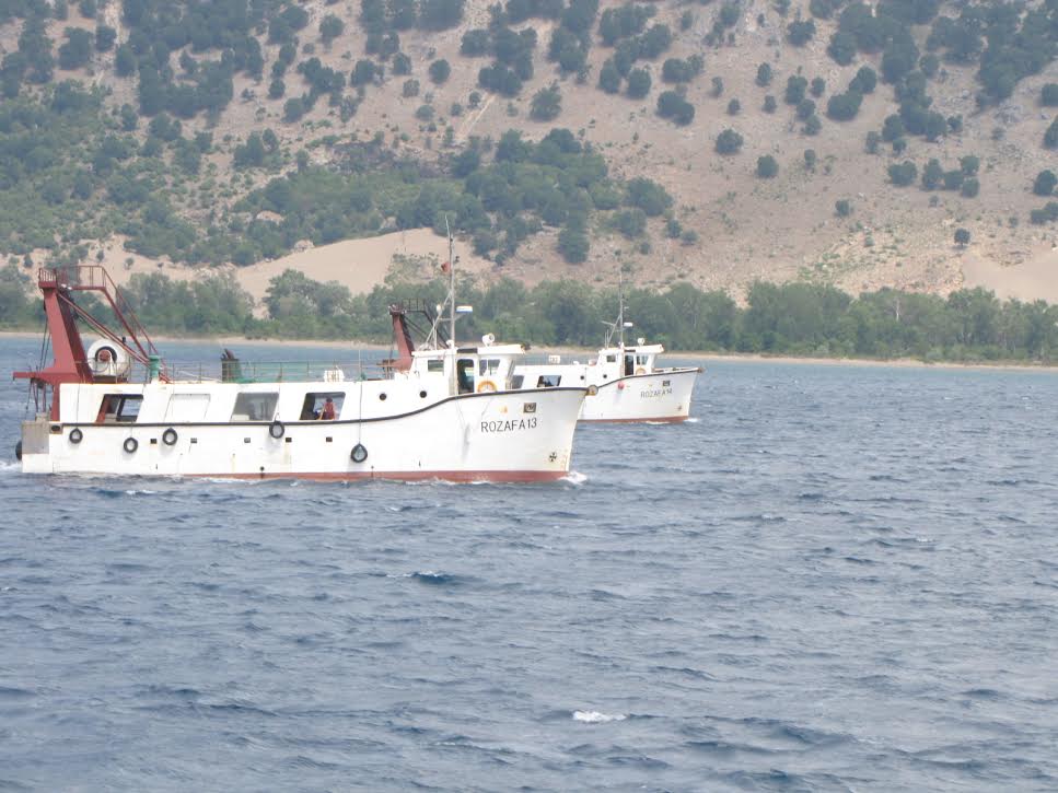 Me “Lissus”-in drejt “Wilsonit” shqiptar (III)