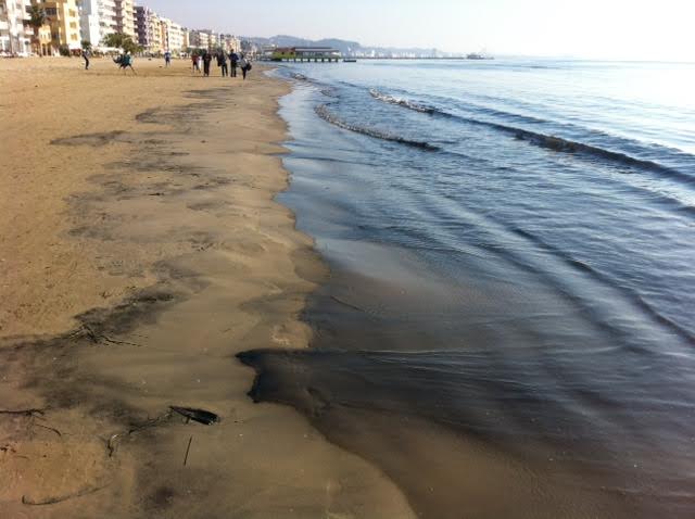 Policia nis hetimet për ndotjen në det. Ministri Koka: Deri të hënën do t’i gjejmë shkaktarët!