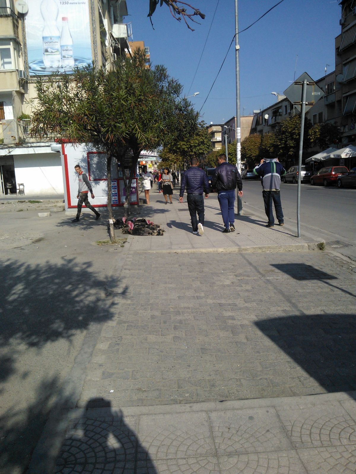 Gjelat e detit shiten rrugëve të Durrësit, por dy herë më shtrenjtë (Foto)