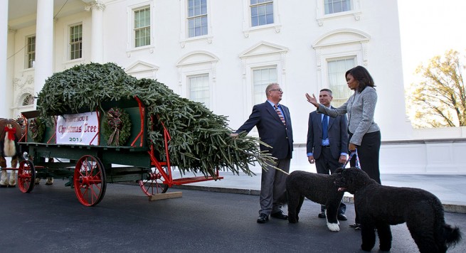 Michel Obama pret pemën e Krishtlindjeve në Shtëpinë e Bardhë (Video)