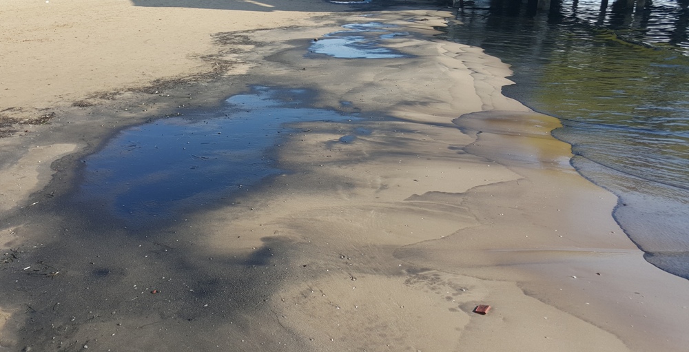 Ndotja në det, ish-kreu i Këshillit Bashkiak Hamiti: Të gjendet sa më parë shkaku