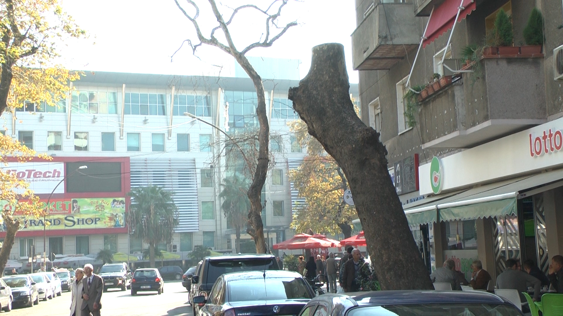 Çfarë po ndodh me pemët shekullore në qendër të Durrësit? (Video)