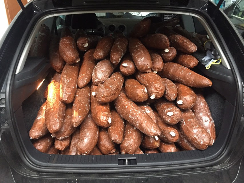 Trafikonin për “Ndraghetan”, arrestohen 2 vëllezërit shqiptarë, sekuestrohen 400 kg kokainë