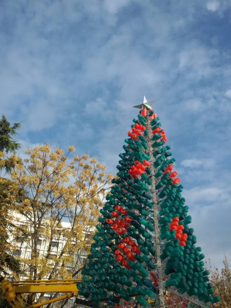 Fotolajm/ Bredhi i parë ekologjik në vend