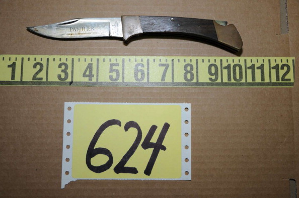 Shqiptari vret me thikë gruan në sy të fëmijëve